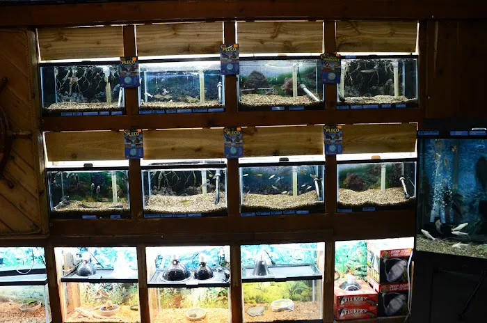 Terry's Aquarium & Pet Center Picture 3