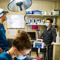 Tolland Veterinary Hospital ico