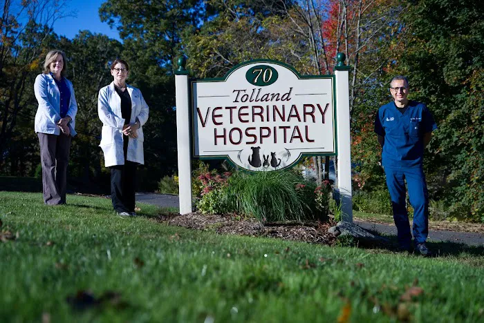 Tolland Veterinary Hospital Picture 7