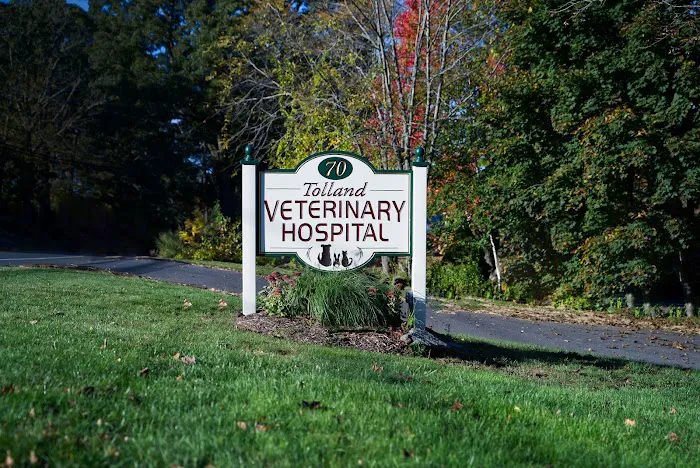 Tolland Veterinary Hospital Picture 5