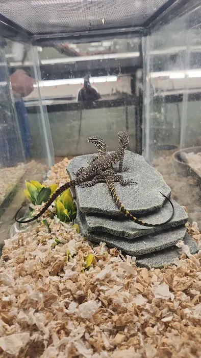 Reptile Emporium & Aquatic Center Picture 2