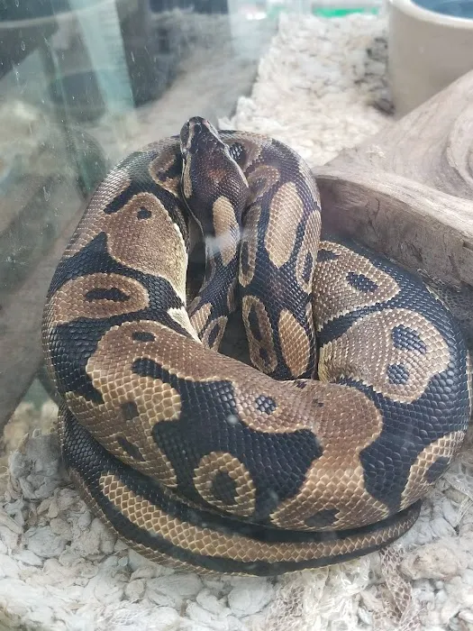 Reptile Emporium & Aquatic Center Picture 1