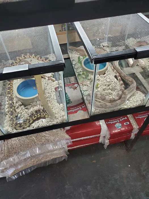 Reptile Emporium & Aquatic Center Picture 4