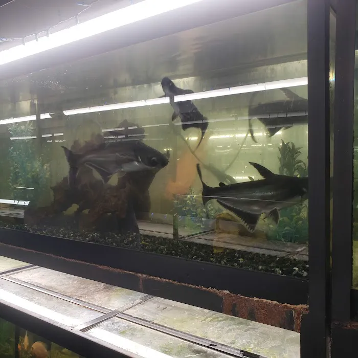 Reptile Emporium & Aquatic Center Picture 6