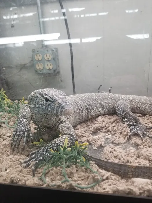Reptile Emporium & Aquatic Center Picture 7