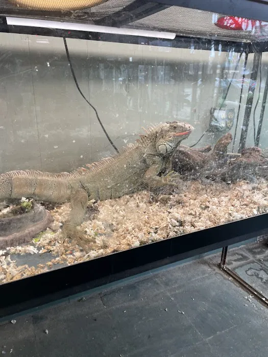 Reptile Emporium & Aquatic Center Picture 8