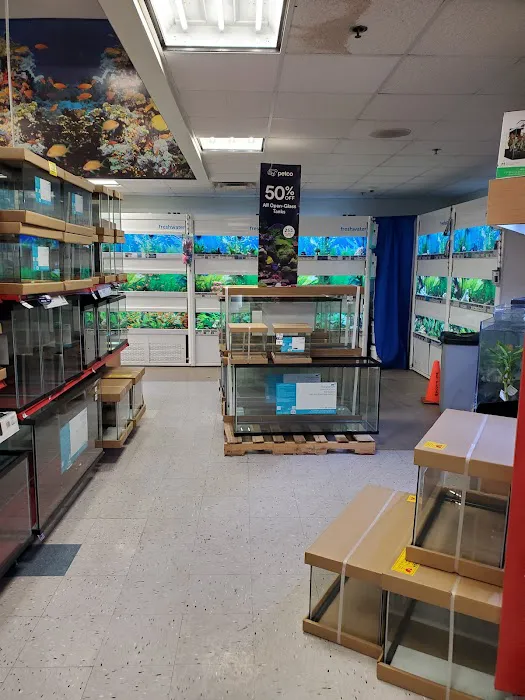 Petco Picture 9