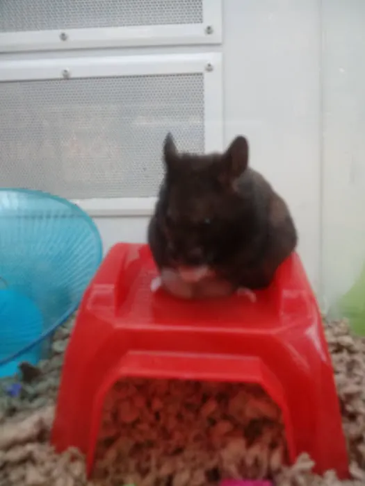 Petco Picture 8