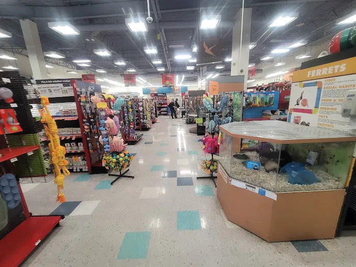 Petco Picture 2