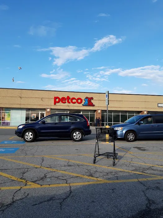 Petco Picture 7