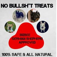 No Bullsh*t Treats ico