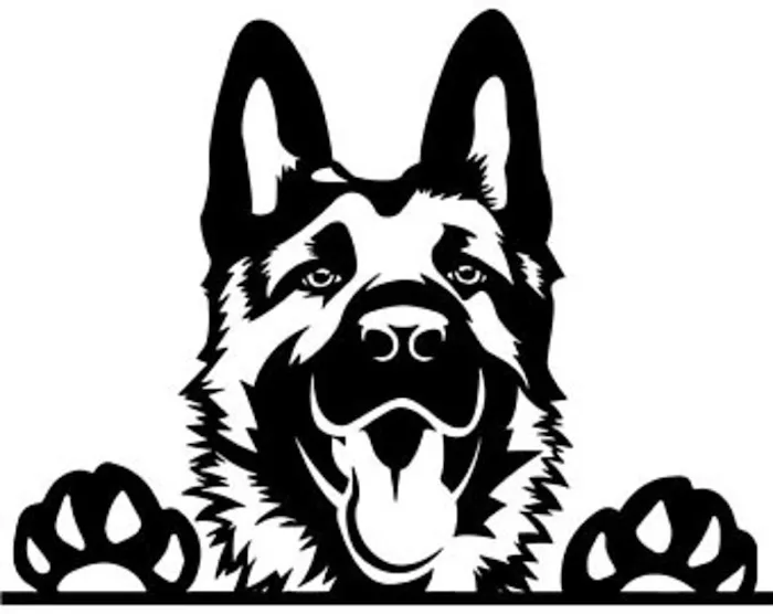 No Bullsh*t Treats Picture 5