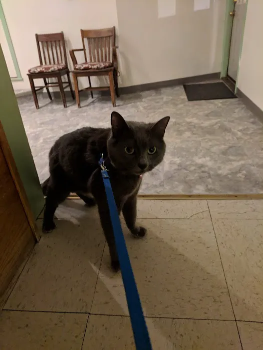 Pet House Calls Veterinary Clinic Picture 4