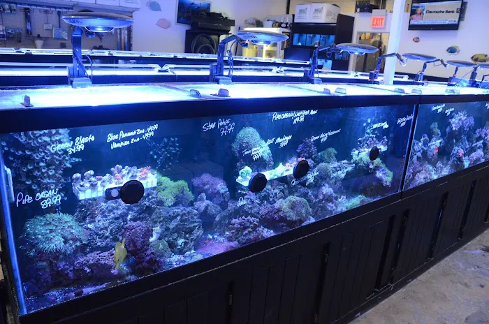 Rob's Aquatics Picture 3