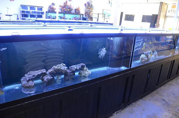 Rob's Aquatics Picture 4