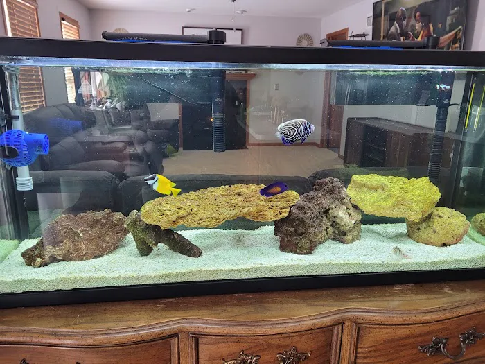 Rob's Aquatics Picture 9