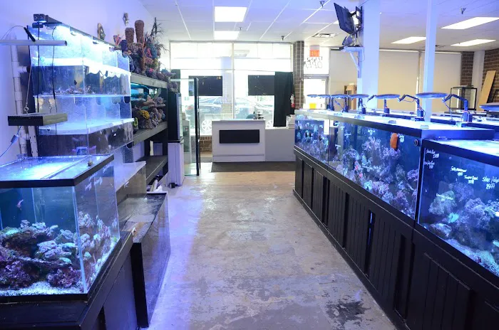 Rob's Aquatics Picture 8