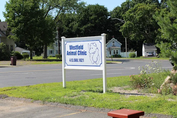Westfield Animal Clinic Picture 8