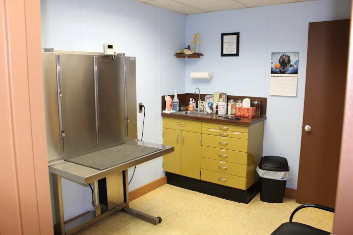 Westfield Animal Clinic Picture 1