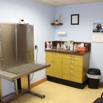 Westfield Animal Clinic