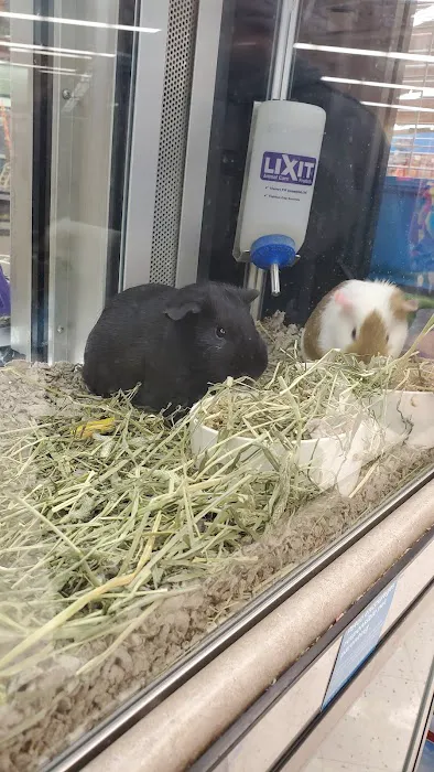 Petco Picture 5