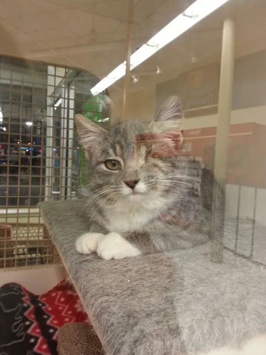 Petco Picture 4