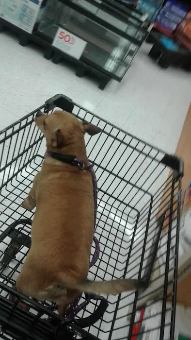 Petco Picture 8
