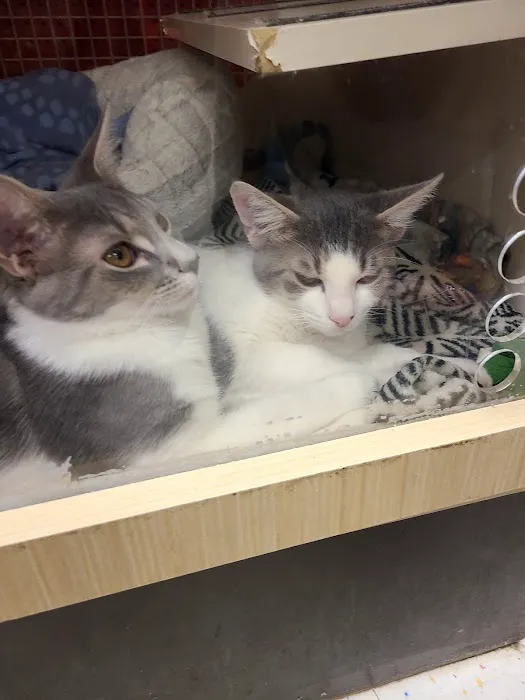 Petco Picture 6
