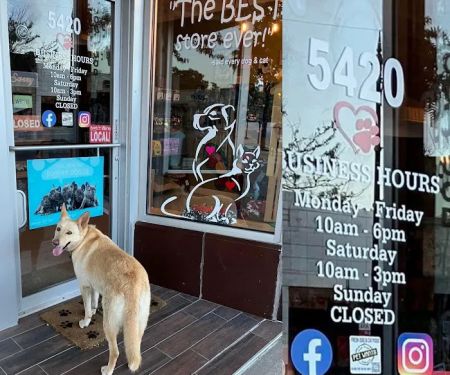 Pet Wants Chicago North