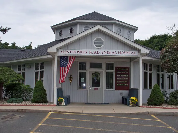 VCA Montgomery Road Animal Hospital Picture 3