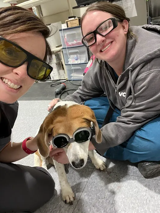 VCA Montgomery Road Animal Hospital Picture 10