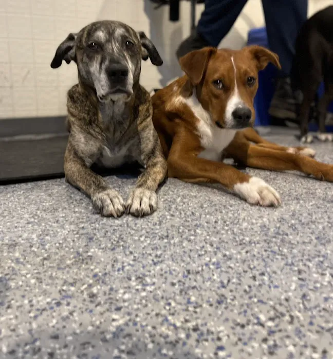 Bark Place Picture 10