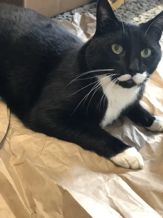Pet Wants in Elmhurst Picture 2