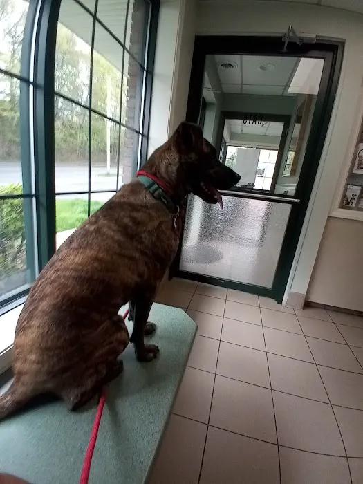West Springfield Veterinary Clinic Picture 9