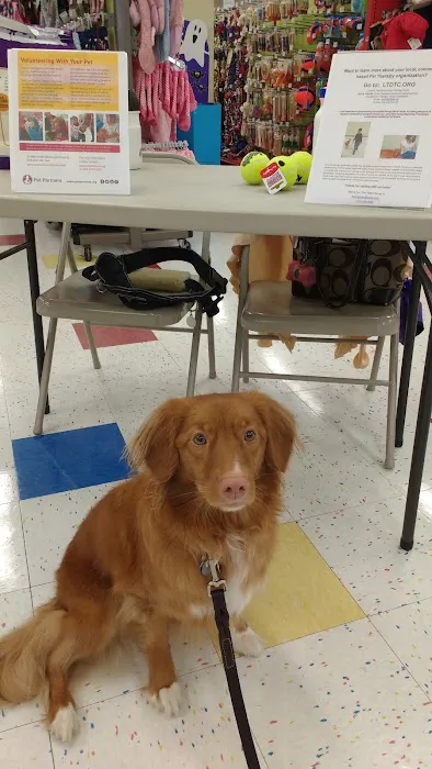 Petco Picture 1