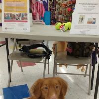 Petco ico