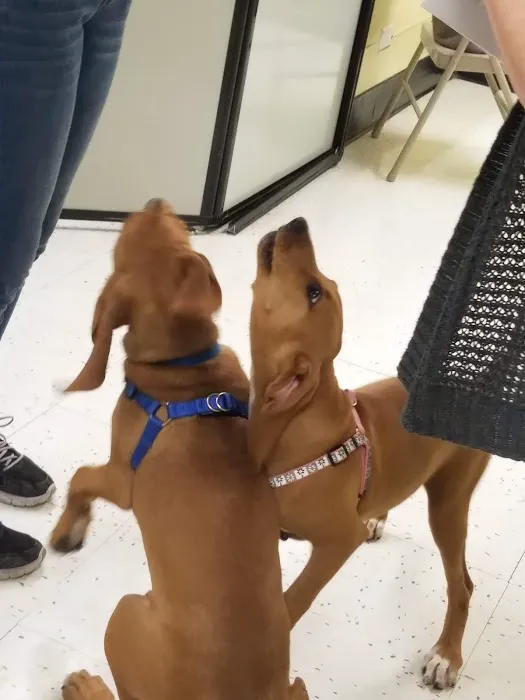 Petco Picture 2