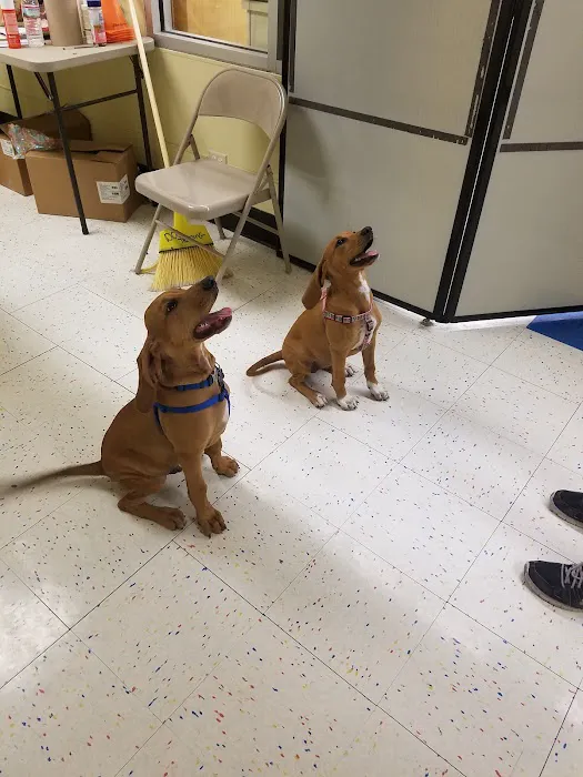 Petco Picture 8