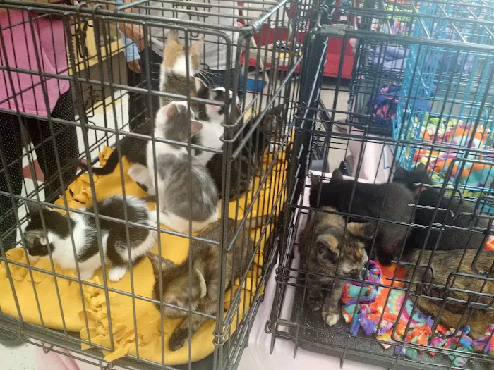 Petco Picture 10