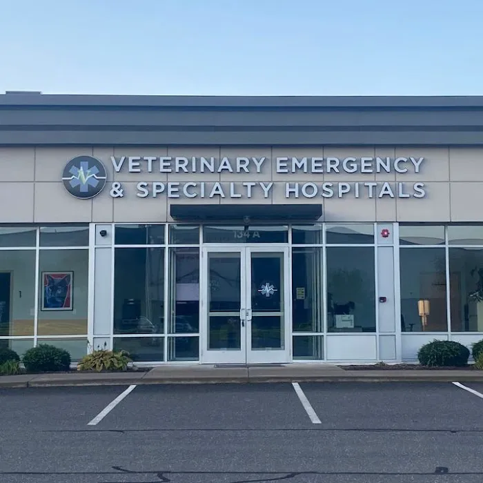 Veterinary Emergency & Specialty Hospital (VESH) Picture 9
