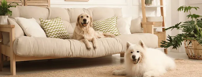 Greenly Paws Picture 4
