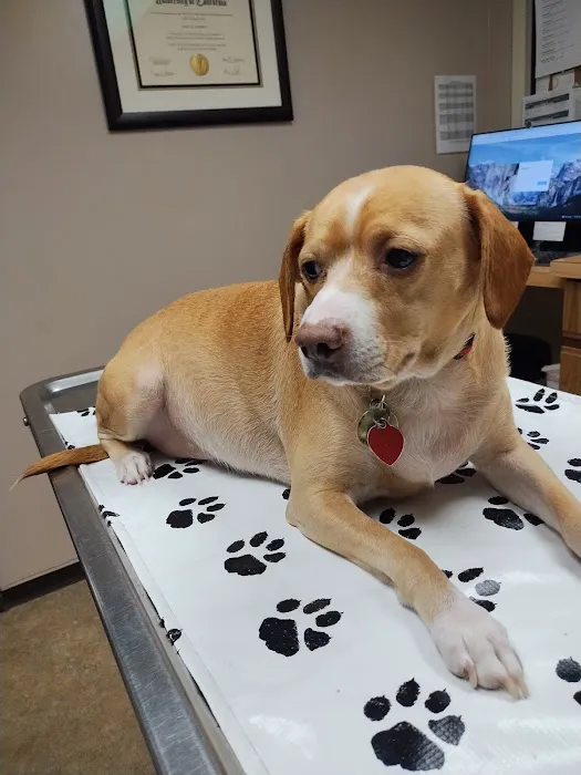 Spruce Hill Veterinary Clinic Picture 4