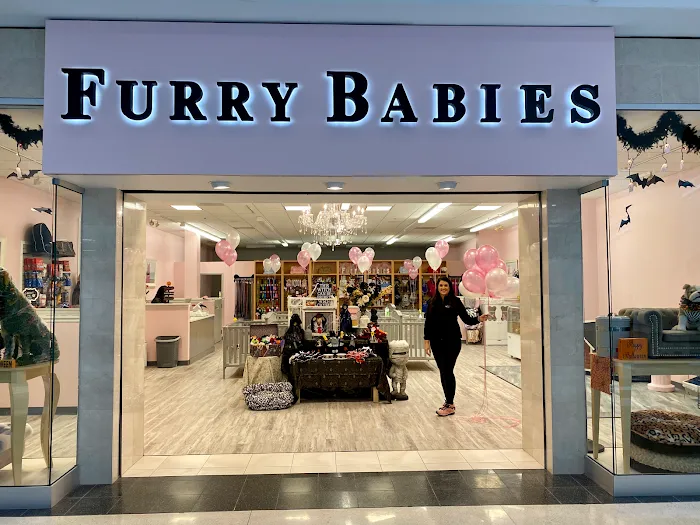 Furry Babies - Lombard Picture 10