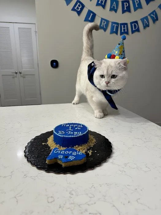 It's So Fluffy Pet Bakery Picture 6