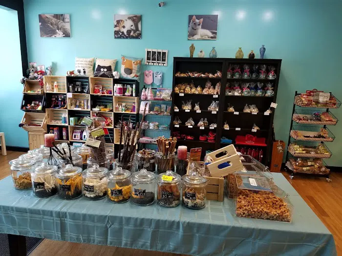 It's So Fluffy Pet Bakery Picture 9