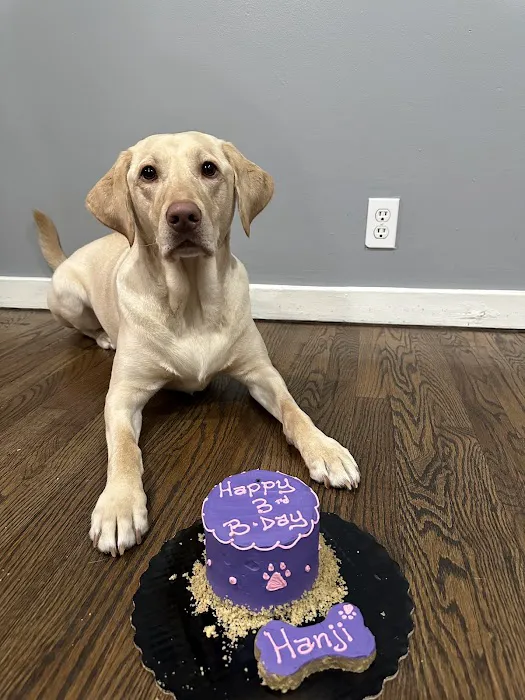 It's So Fluffy Pet Bakery Picture 8