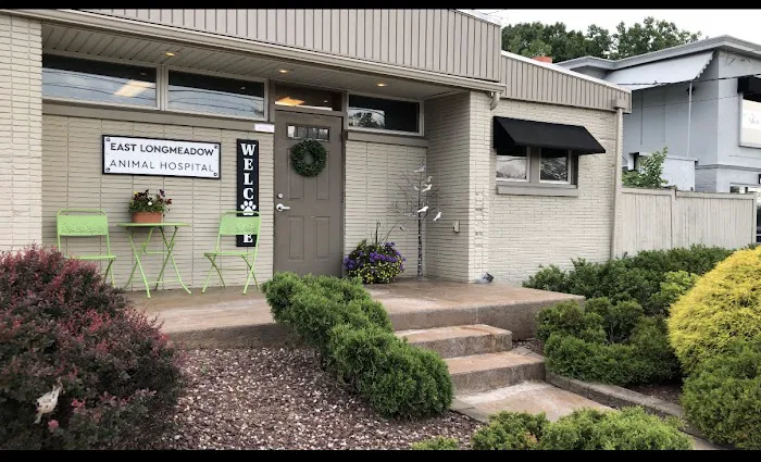 East Longmeadow Animal Hospital Picture 5