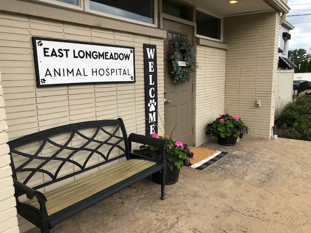 East Longmeadow Animal Hospital Picture 6