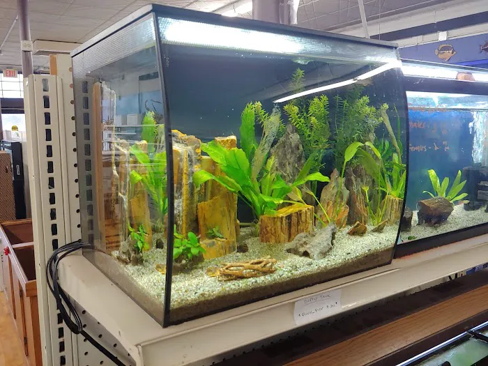 Tropi-Quatics Pet Center Picture 2
