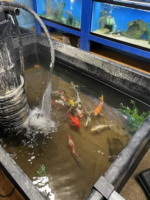 Tropi-Quatics Pet Center Picture 5